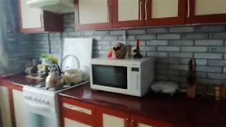 Как сделать ремонт на кухни своими руками пластиковыми панелями