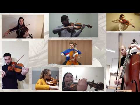 Ode to joy / All people become brothers - Music by Ludwig van Beethoven arranged by Desar Sulejmani