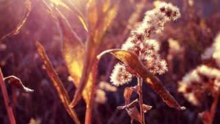 The Virgin Prunes - The Children Are Crying