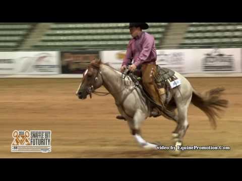 Its Time To Smokum ridden by Mark A. Sigler  - 2016 NRCHA SBF (Rein Work - Open Prelims)