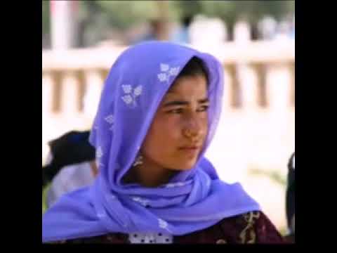 Muzaffer badilli zilan