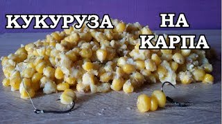 Как правильно варить кукурузу для рыбалки