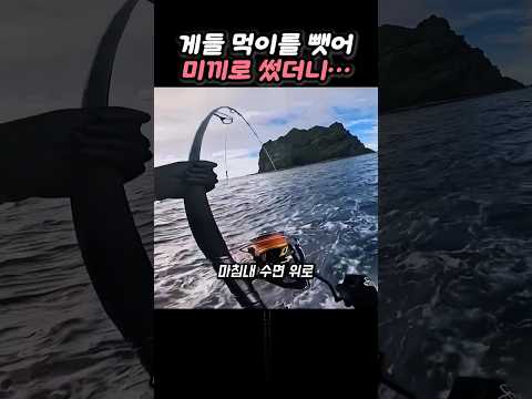 게들이 먹던 버려진 생선으로 잡은 대물 바리