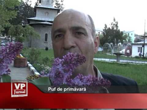 Puf de primăvară