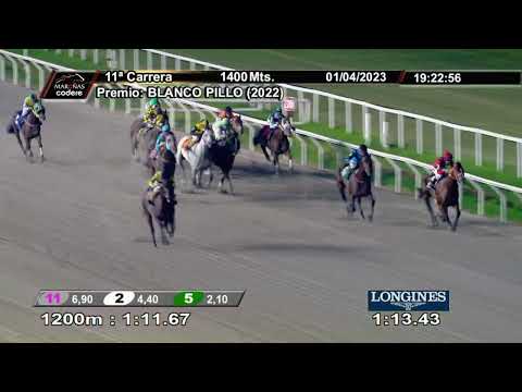 230401 c11 GARMISCH (BRZ)