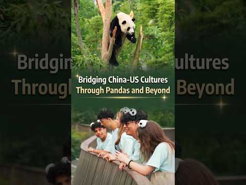 Bridging China-US cultures through pandas and beyond