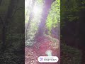 Animation