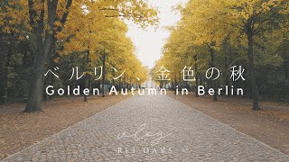 EN/JP｜ベルリン、金色の秋✨A Walk in the Golden Autumn of Berlin🖼ドイツ海外生活VLOG