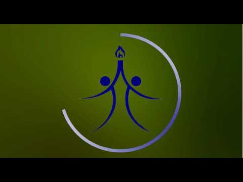 SILTI 900 STB 200 Heavy Commercial Steam Iron, 800 W