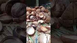 Download lagu Cara melepas daging kelapa/kopra. #petani #kelapa #kopra #kebun #kebunkelapa #coconut #shorts #fyp mp3