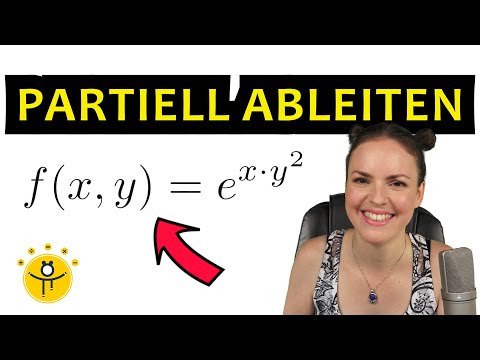 Partielle Ableitung e Funktion – mehrdimensionale Analysis, Kettenregel, Produktregel
