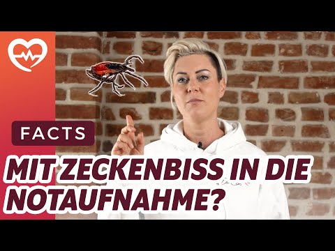 WISSEN2GO | MIT ZECKENBISS IN DIE NOTAUFNAHME? | DIAGNOSE DIENSTAG