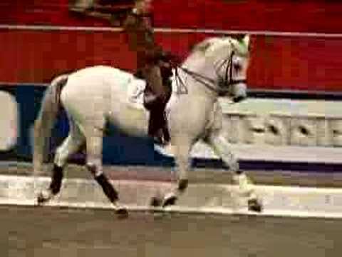 Andreas Helgstrand & Blue Hors Matiné