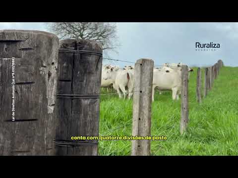 Fazenda à Venda em Itacajá - TO | 968 Hectares | Pronta para Pecuária de Engorda