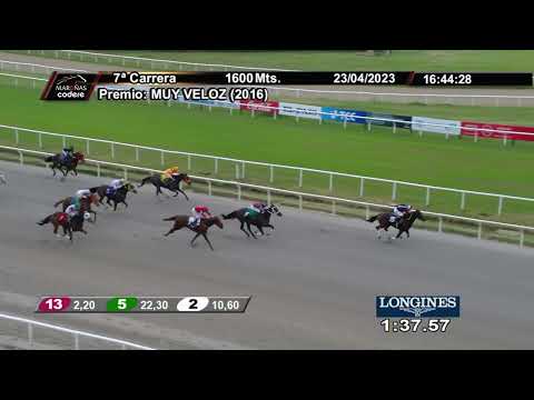 230423 c07 JOHAN /BRZ)