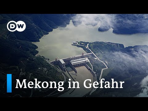 Mekong-Delta in Vietnam droht zu versalzen | DW Nachrichten