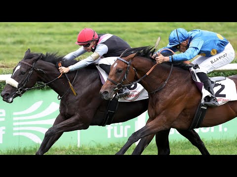 Zauberkönig wird beim Debüt am 04.08.2024 in Düsseldorf direkt zweiter