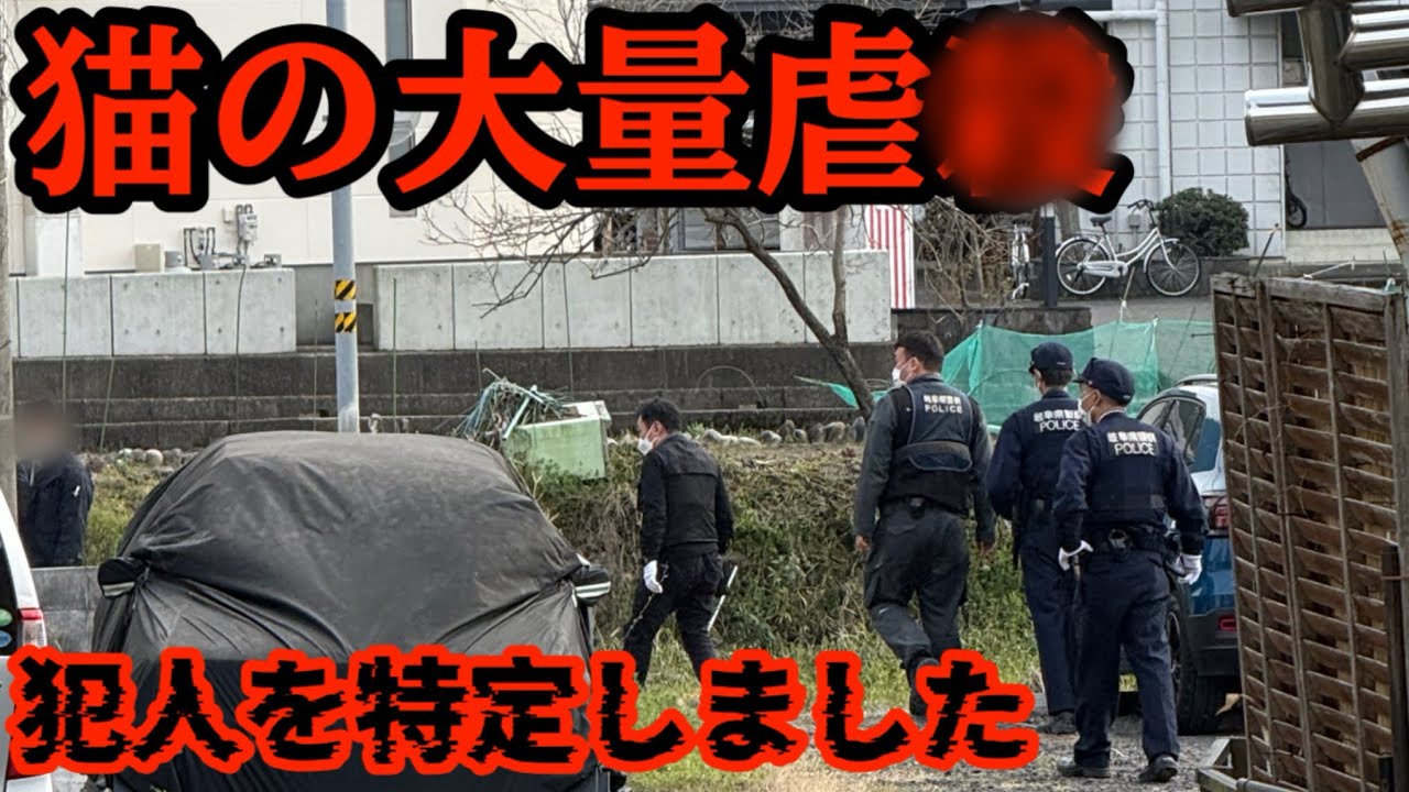 どうなってんだ…。朝起きたら庭に猫の◯体が2匹。近所でも猫の◯体が次から次へと…【動物虐待】