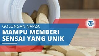 Happy Five, Memberi Sensasi Kesenangan dan Ketenangan