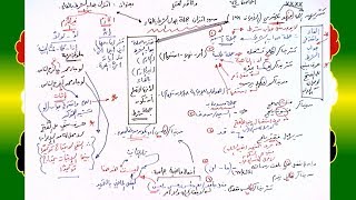 74 √ اقتران جواب الشرط بالفاء image