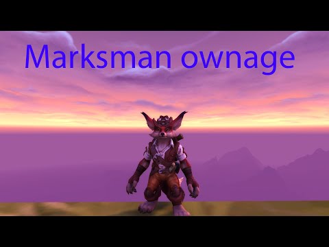 Random BG clips #1 marksman hunter pvp 8.3