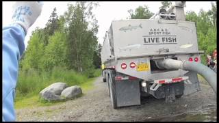 Fish On A Trip