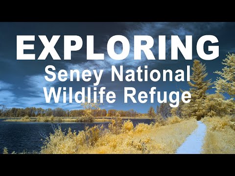 Super Color Infrared Views of Seney National Wildlife Refuge || Exploring Series