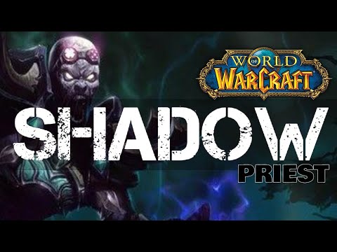 Operation Mechagon // HK-8 Aerial Oppression Unit // Shadow Priest