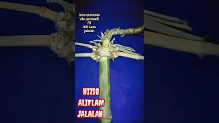 Download lagu ALIF LAM JALALAH mp3