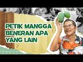 Dr Boyke Bongkar Kode Rahasia Pijat Petik Mangga