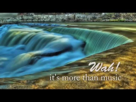 WAH! book - Healing: A Vibrational Exchange  trailer