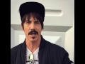 Follow Red Hot Chili Peppers On Instagram Chilipeppers