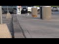 Stupid Seagull Trying To Eat Empty McDonalds Bag I GAVE HIM FOOD Part 2