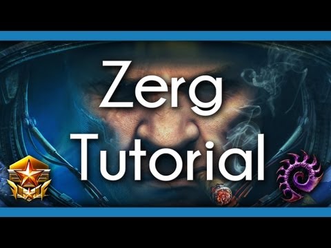 Starcraft II Study - All In Build: How-to Roach Zergling Baneling Allin versus Terran