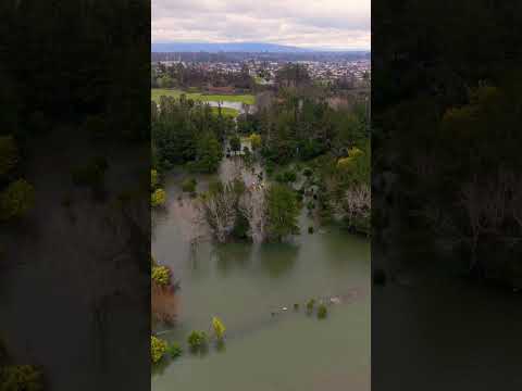 El río Toltén se salió y así quedó la isla de Pitrufquén 😰
