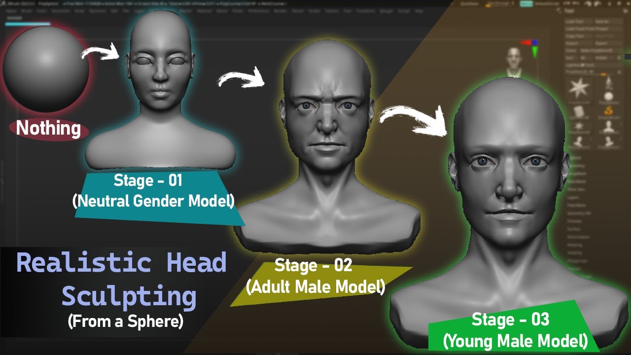 Sculpting Male Head - Lesson 13