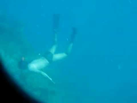 Lusong Wreck Palawan Underwater