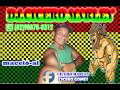 Morgan Heritage   Know Your Past - Cicero marley Morgan Heritage   Know Your Past