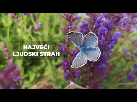 Najveći ljudski strah