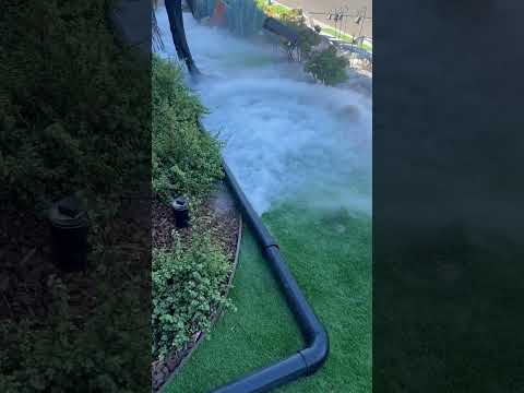 Creepy Swamp fog and lasers set up during the day ￼