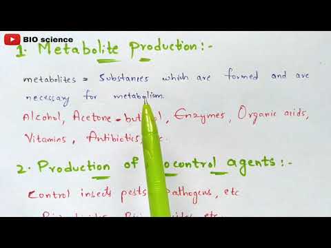 Industrial biotechnology Introduction History Applications Bio science