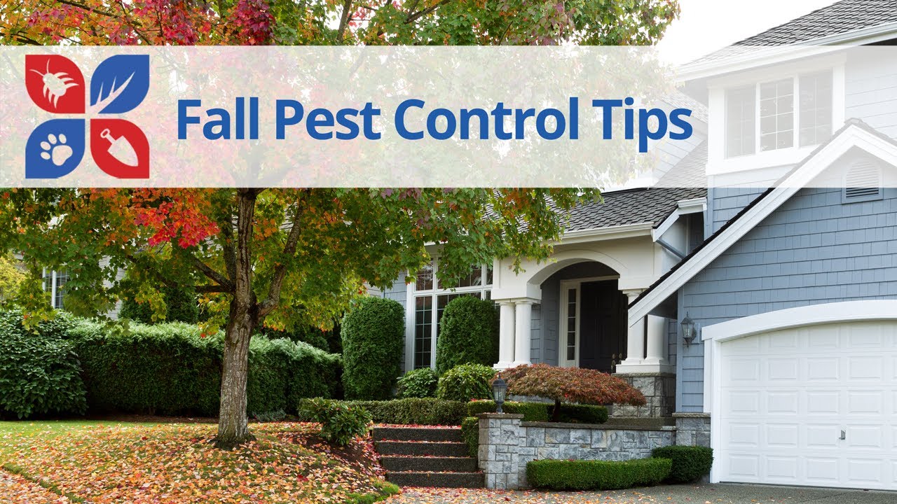 Fall Pest Control Tips | DoMyOwn.com
