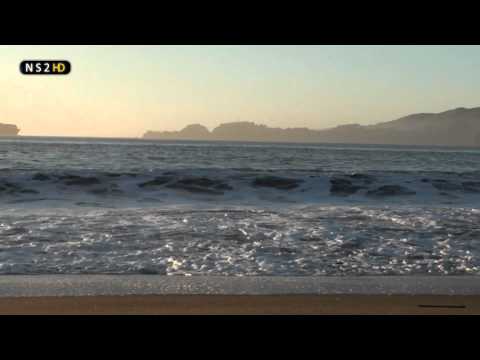 NS2HD[116] - Arrival in San Francisco