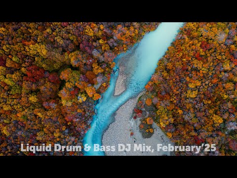 Liquid Drum & Bass DJ Mix, February'25