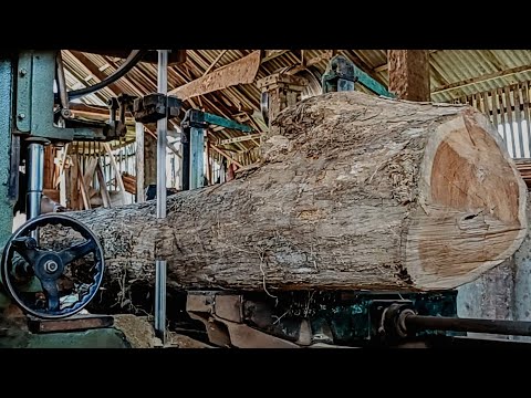 Pamper the eyes when sawing teak wood which has beautiful grain