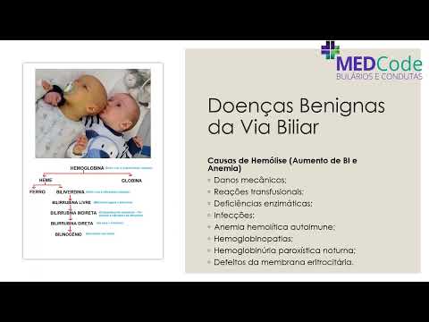 05 - Semiologia Biliar