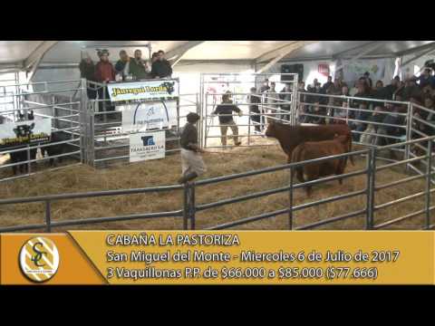 05-07-17 Venta de Vaquillonas PP - Cabaña La Pastoriza - San Miguel Del Monte
