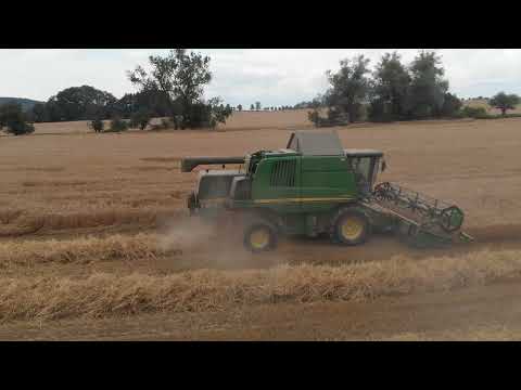 Pšenice s John Deere W540c na Farme Samec Krty u Strakonice