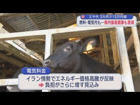 YouTube Video イラン、ウクライナ…戦争が脅かす庶民の食卓　畜産業はエサ代・燃料代・電気代に大きな負担　　　　