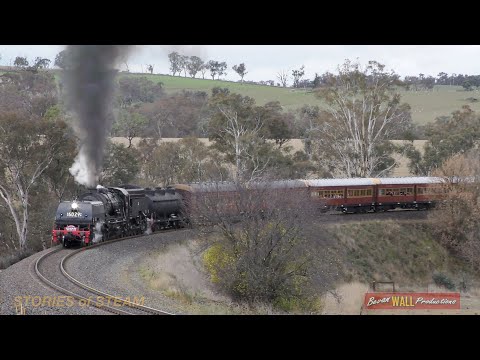 Australian steam locomotive Garratt 6029 - Tumulla bank trips - June 2016